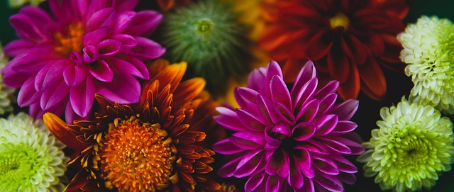 員的狀態波 員的狀態波