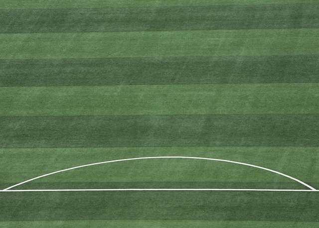 穩定聯賽隊 穩定聯賽隊