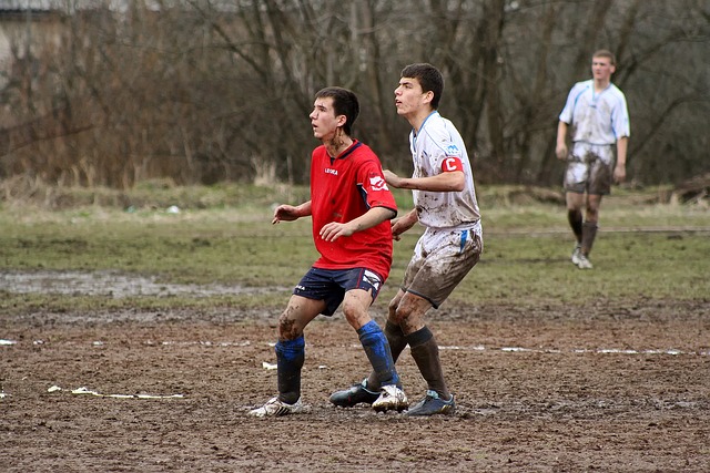 仅展示了体 仅展示了体