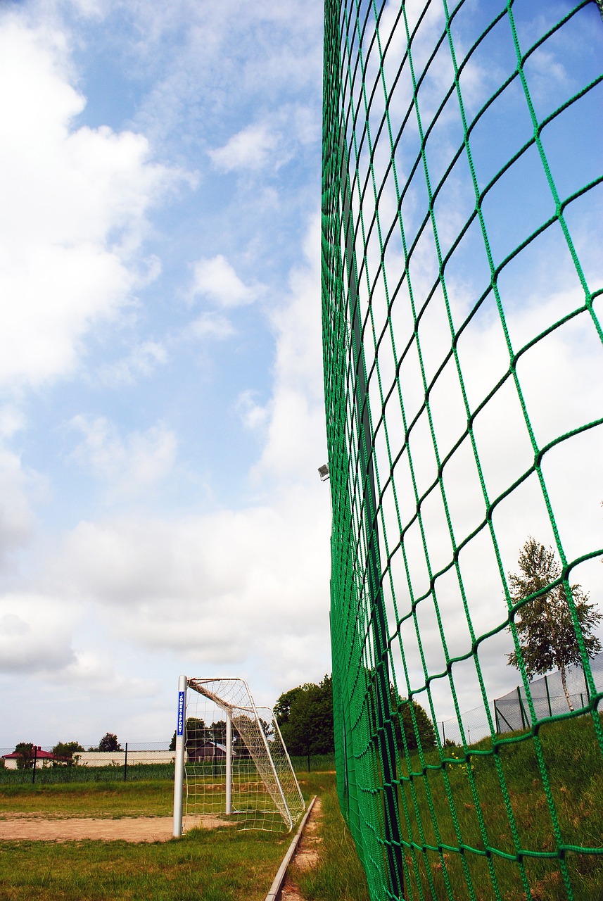 虽败犹荣的 虽败犹荣的