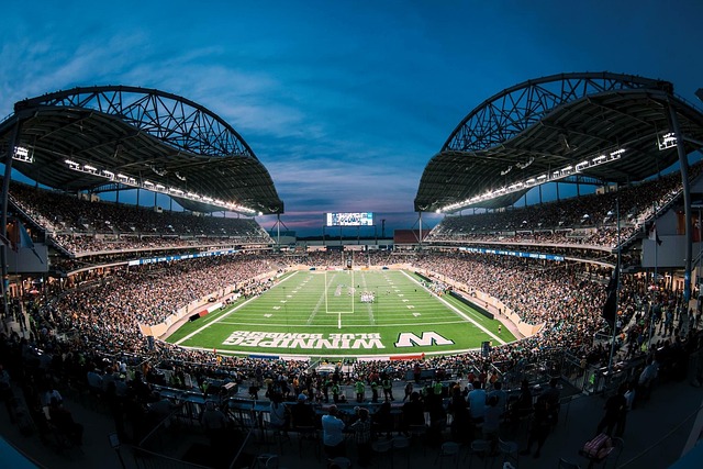 种攻击选择 种攻击选择