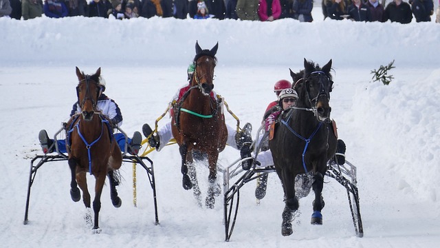 丰塞卡在上 丰塞卡在上