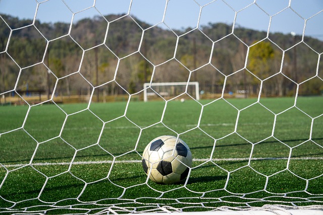 了新的希望 了新的希望