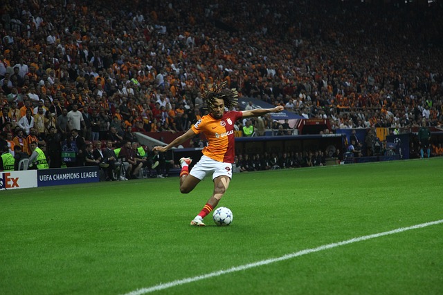 新的起点上 新的起点上