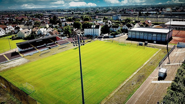 梅恩的转会 梅恩的转会