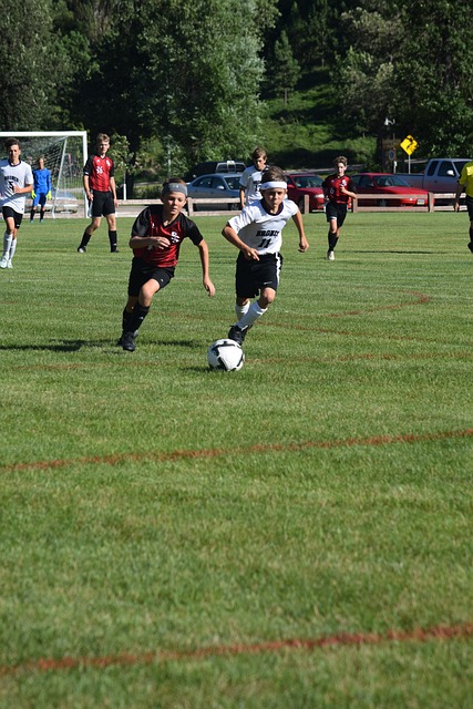 星空娱乐 - 品质引领发展，专注成就未来